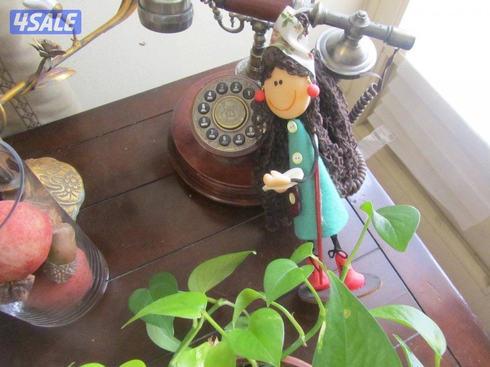 كاميرا كانون sx210 صورها داخل اعلان9