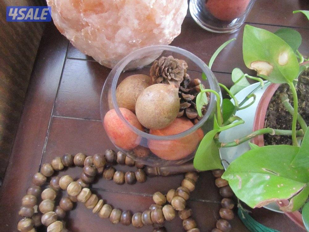 كاميرا كانون sx210 صورها داخل اعلان12