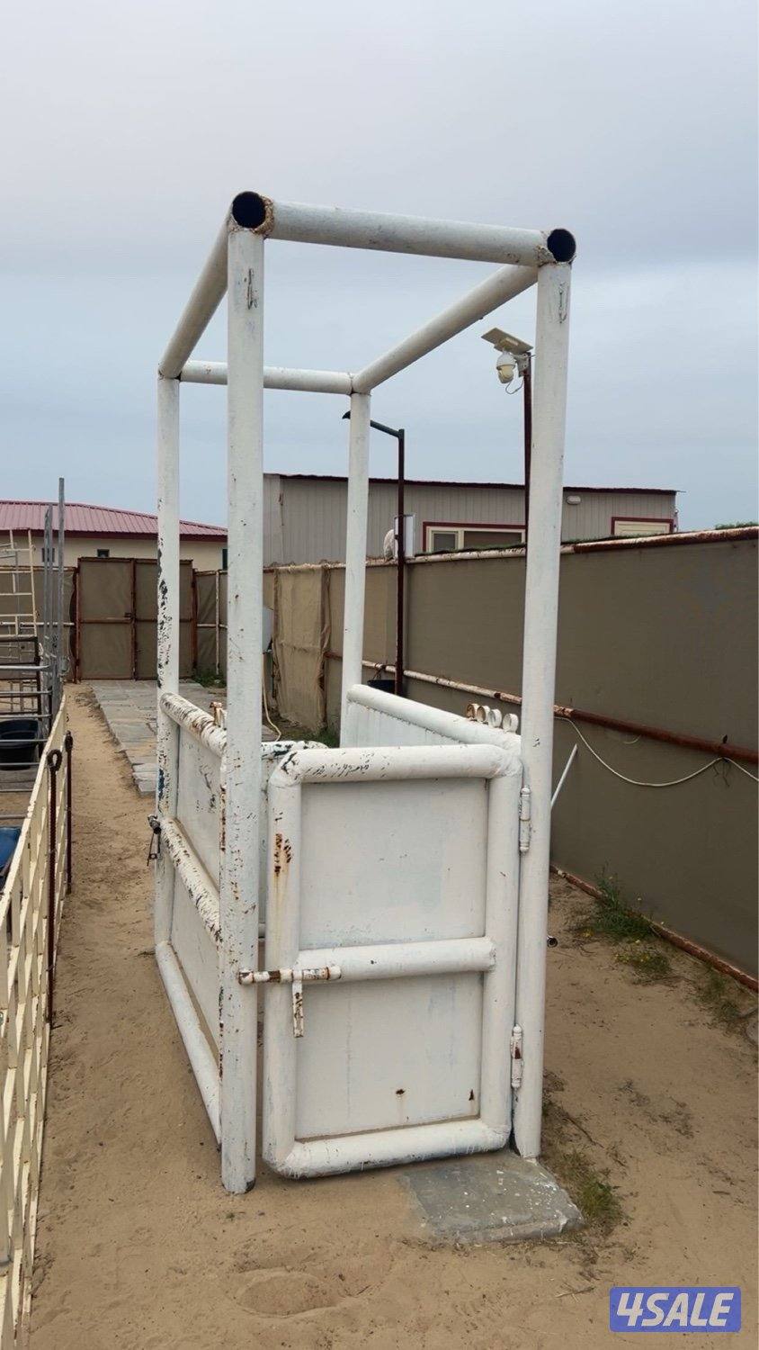 للبيع زناقه خيل0