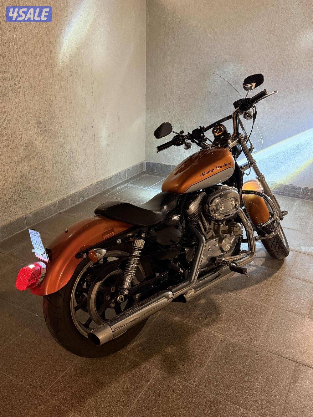 للبيع هارلي1