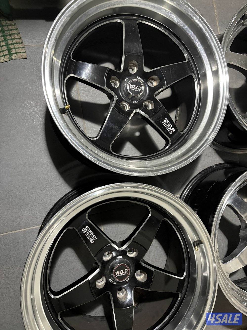 ولدات ٤ اصليين ثنين نياكل وثنين سود نظاف ولازلغه ولامخرطه ولاقار1