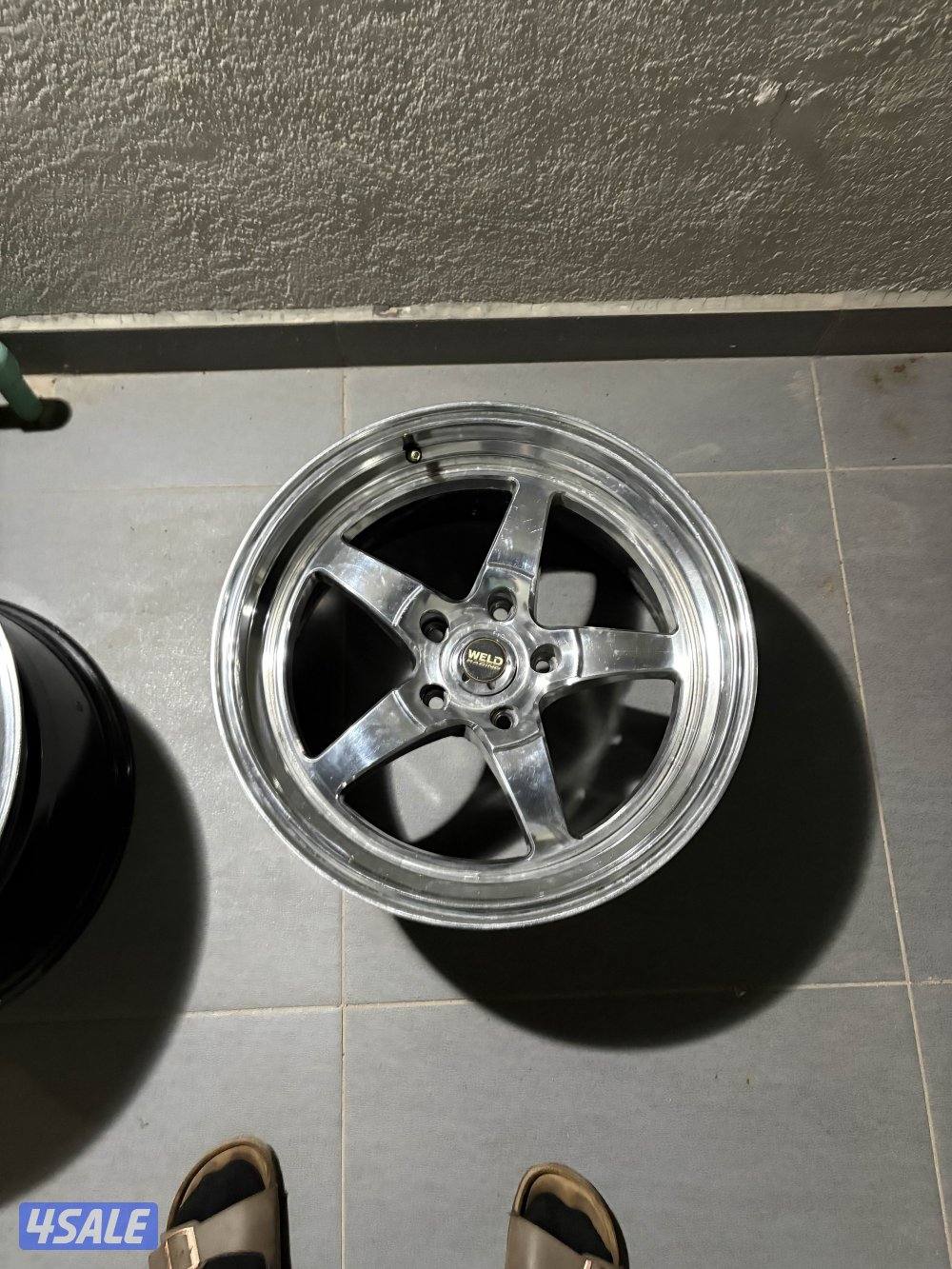 ولدات ٤ اصليين ثنين نياكل وثنين سود نظاف ولازلغه ولامخرطه ولاقار3