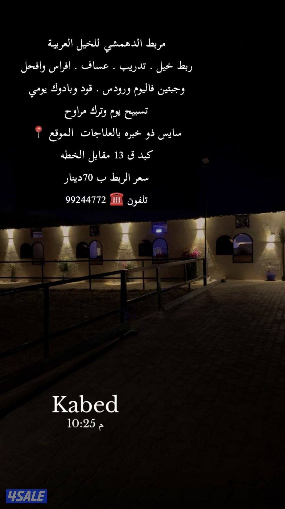 مربط الدهمشي للخيل العربيه الاصيله ( كبد )0