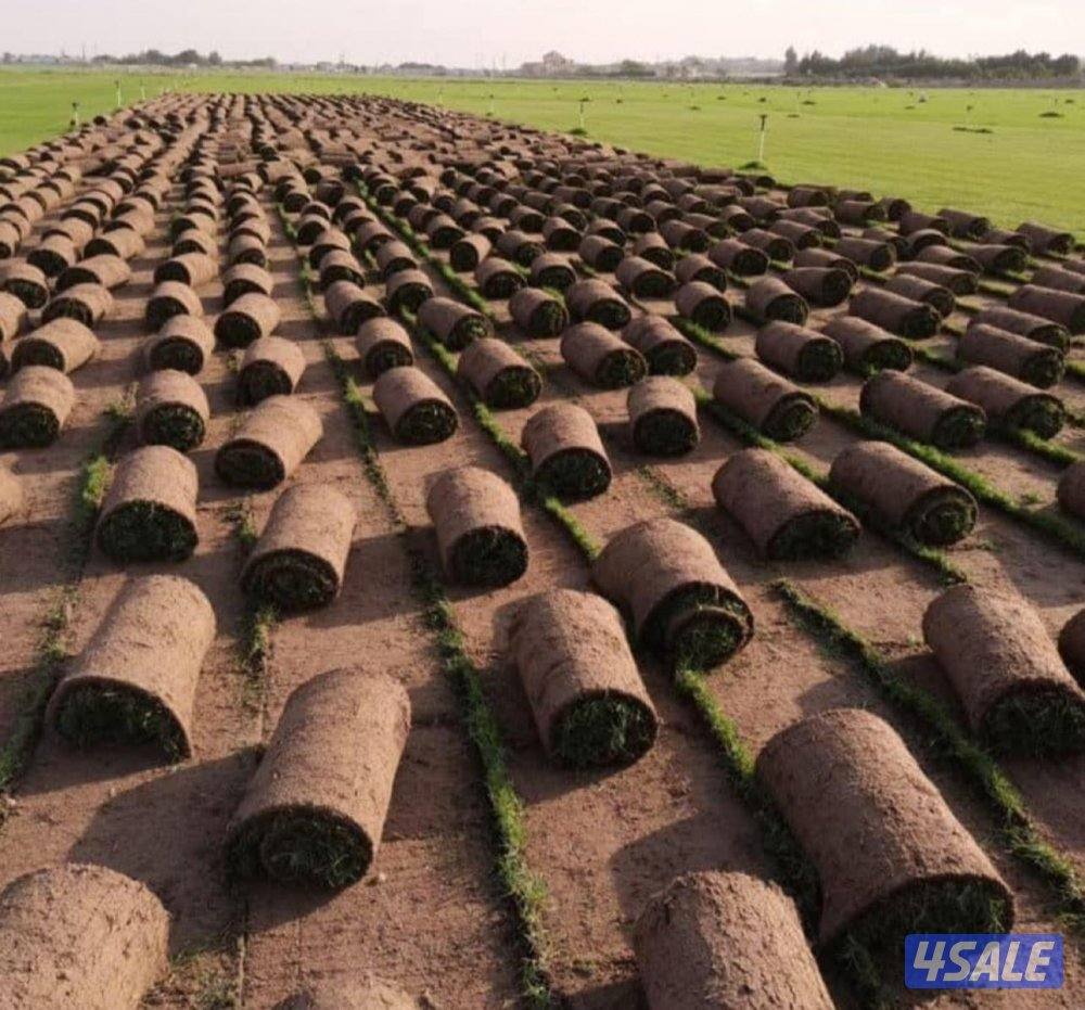 مبيعات ثيل طبيعي وصناعي والسياج التركي وبديل الخشب بأسعار مناسبة0