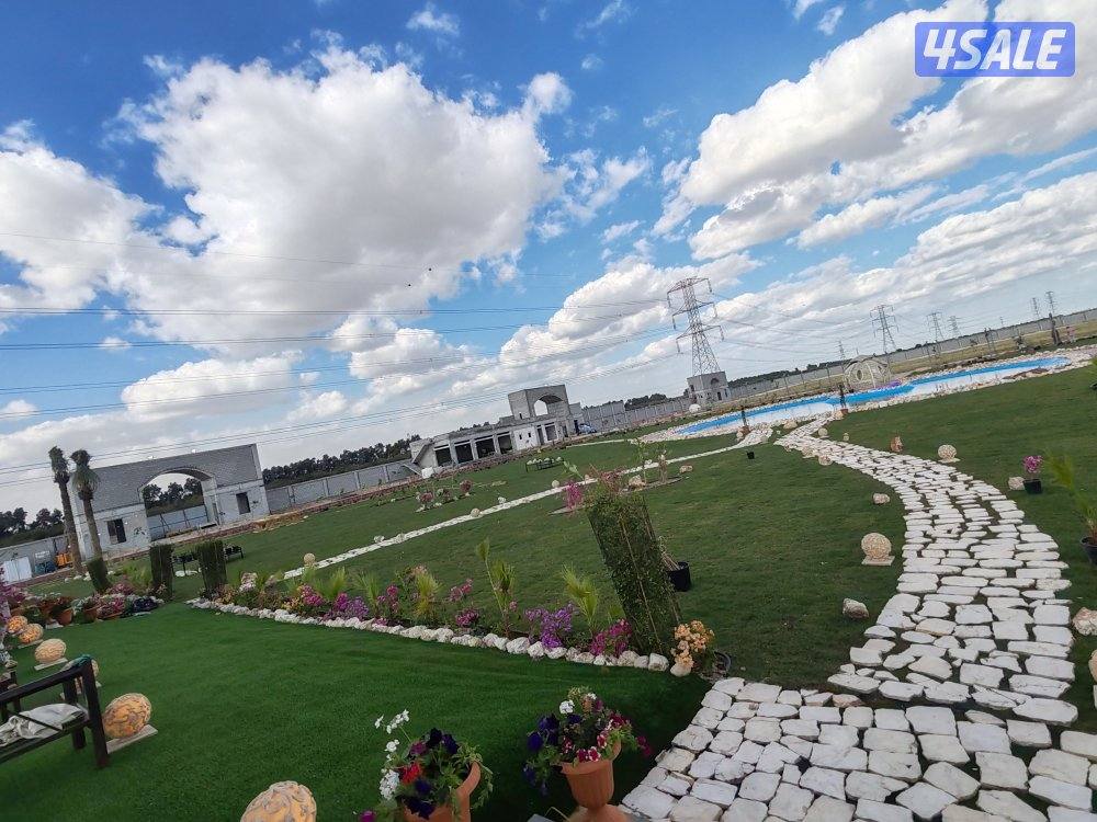 مبيعات ثيل طبيعي وصناعي والسياج التركي وبديل الخشب بأسعار مناسبة8