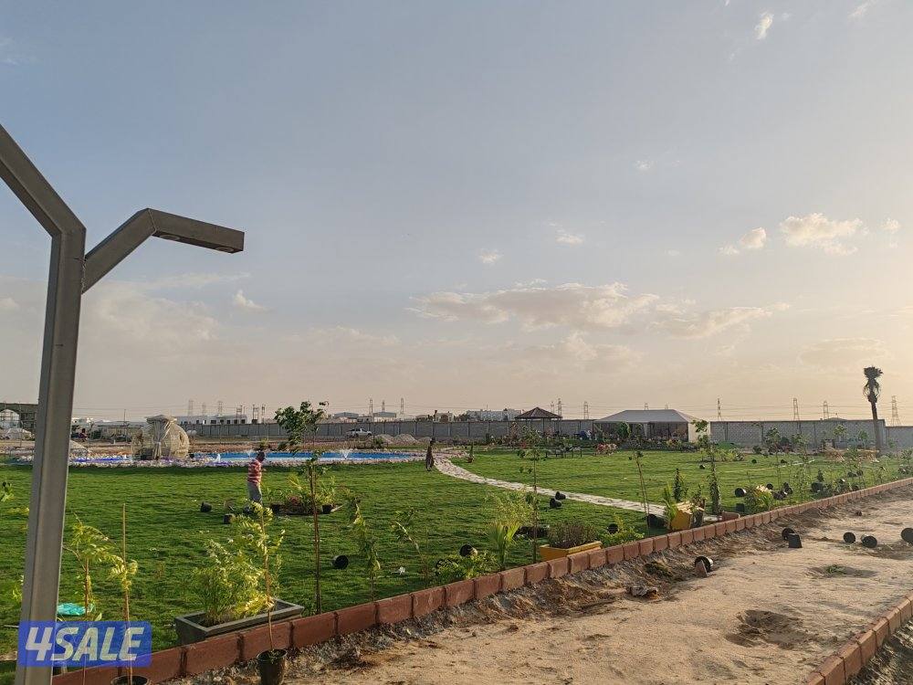 مبيعات ثيل طبيعي وصناعي والسياج التركي وبديل الخشب بأسعار مناسبة10