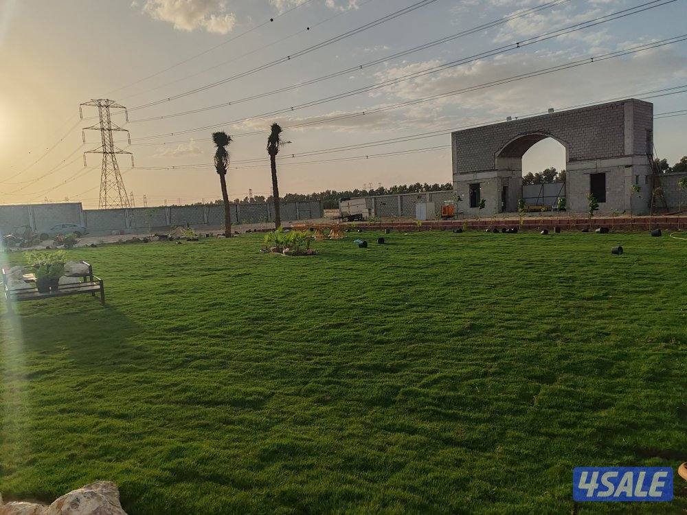 مبيعات ثيل طبيعي وصناعي والسياج التركي وبديل الخشب بأسعار مناسبة9