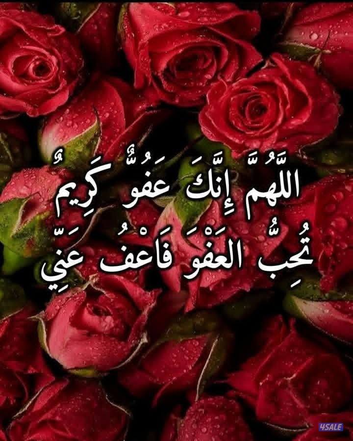 مدرس اول لغه انجليزيه2