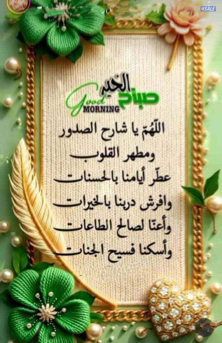 مدرس اول لغه انجليزيه5