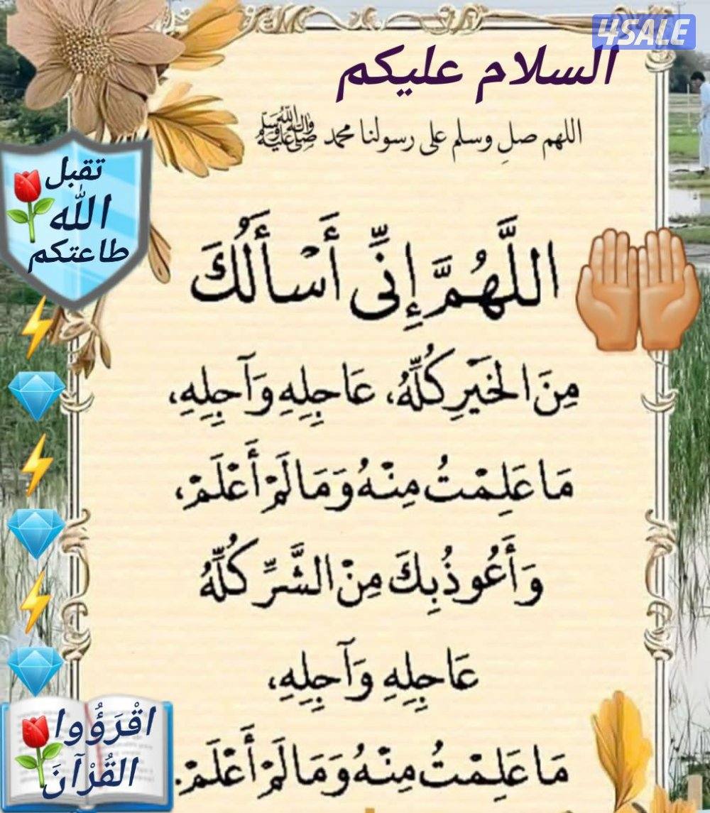 مدرس اول لغه انجليزيه6