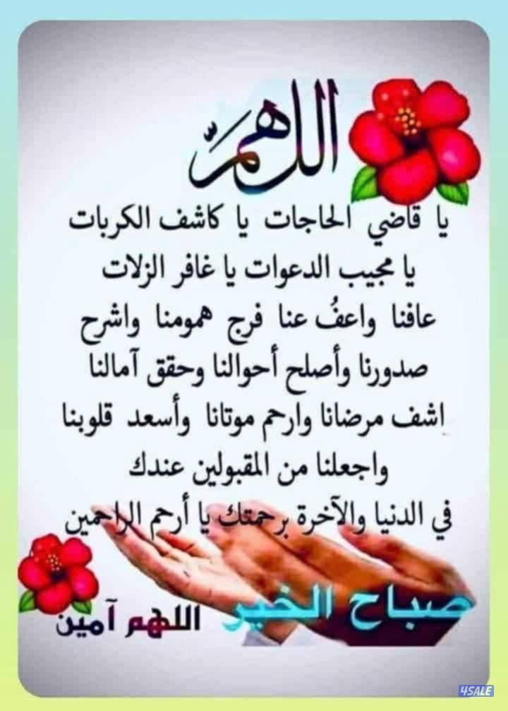 مدرس اول لغه انجليزيه7