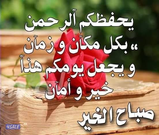 مدرس اول لغه انجليزيه8