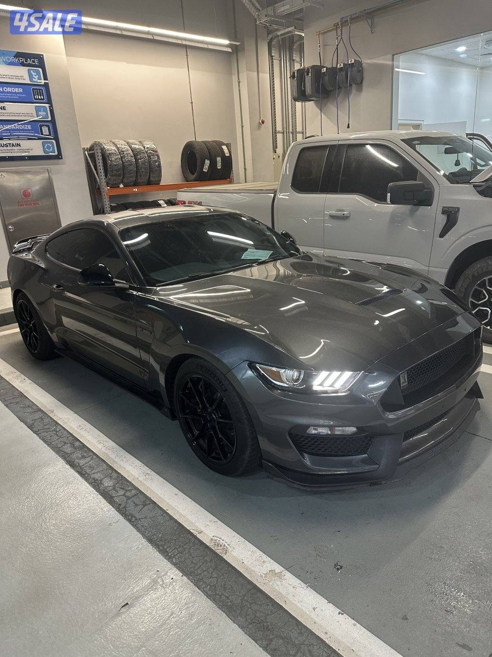 شلبي 350 بحالة المصنع7