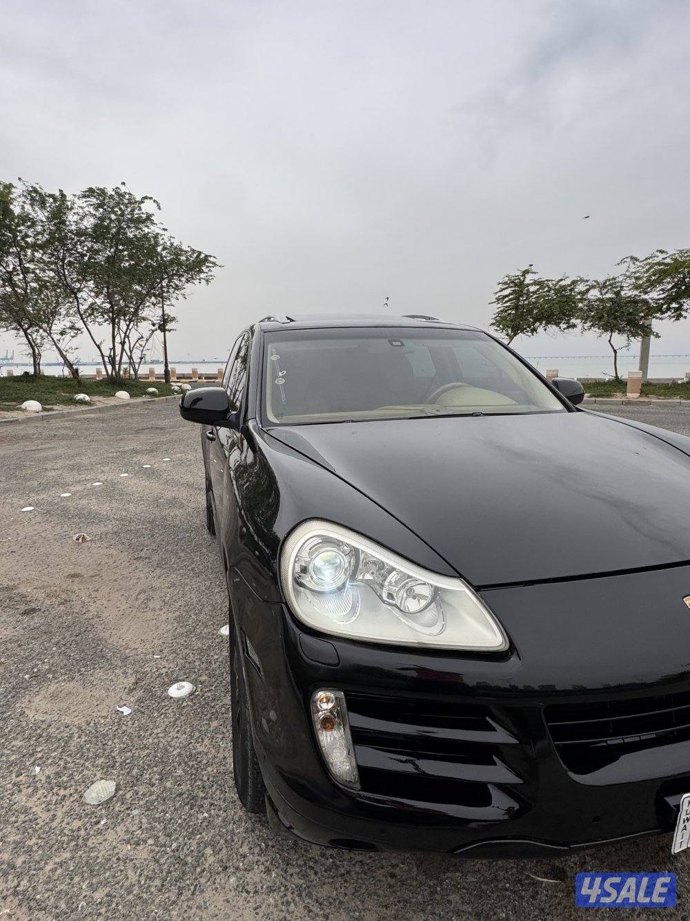 إلى يدور النضيف1