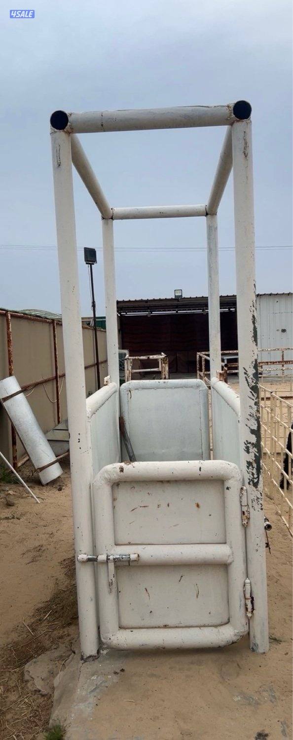 للبيع زناقه خيل1