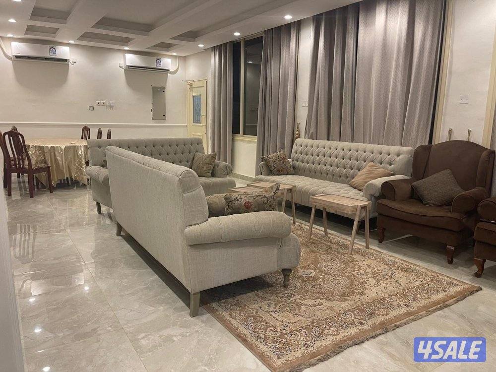 جاخور شهري يومي0