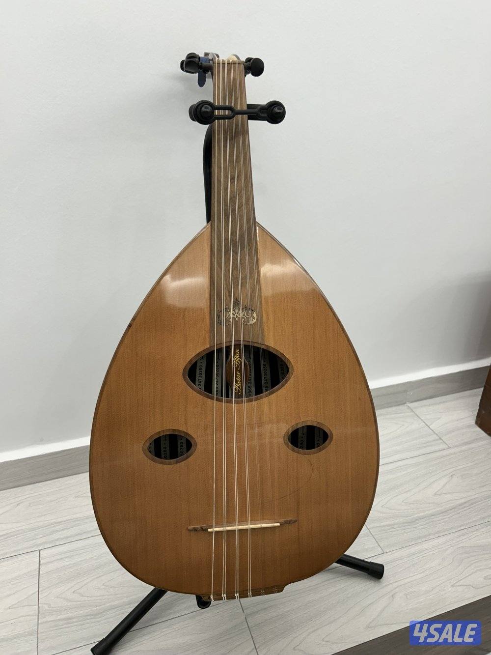 بروفيشنال اوتار الفن0