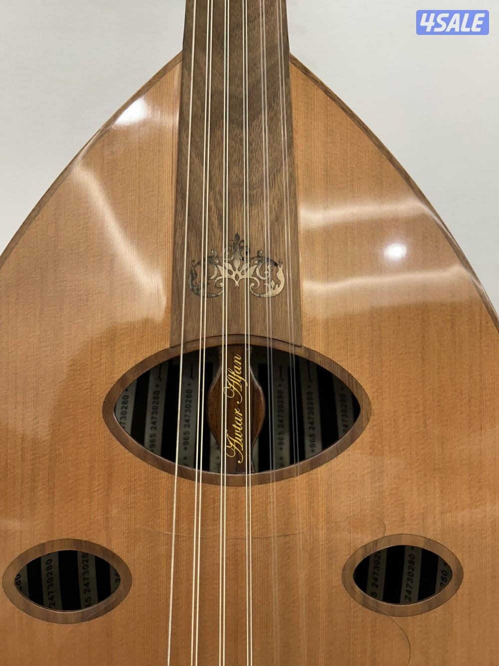 بروفيشنال اوتار الفن2