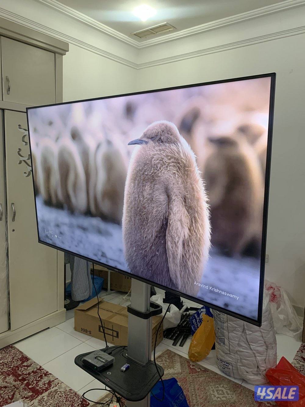 للبيع تلفزيونات 65 و 55 و 43 بوصه QLED سمارت توصيل 24 ساعة2