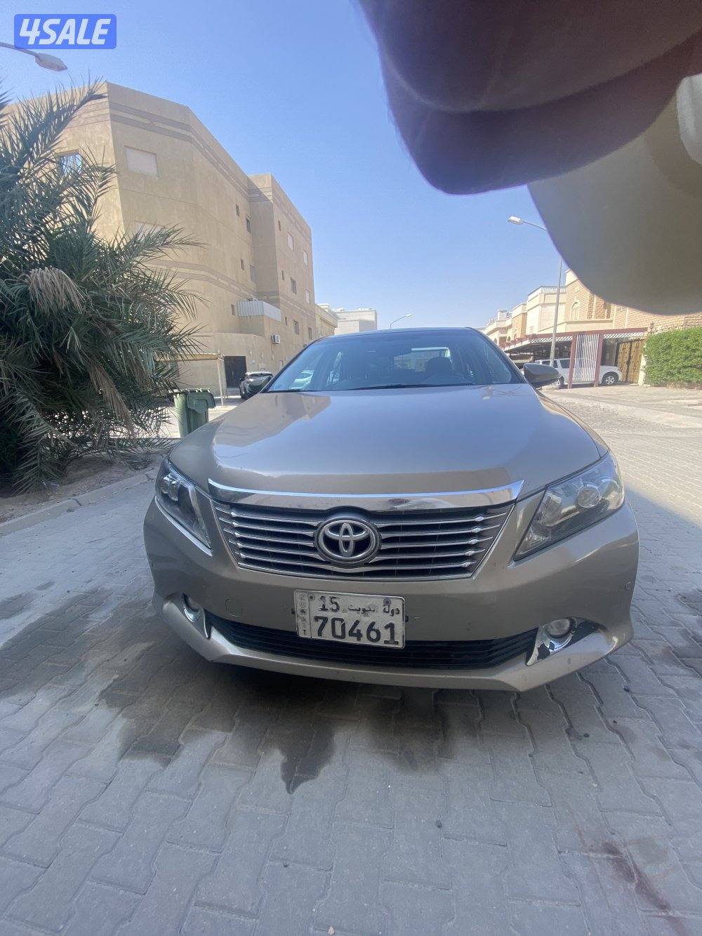 صبغ مدقر و كبوت و الباقي وكاله1