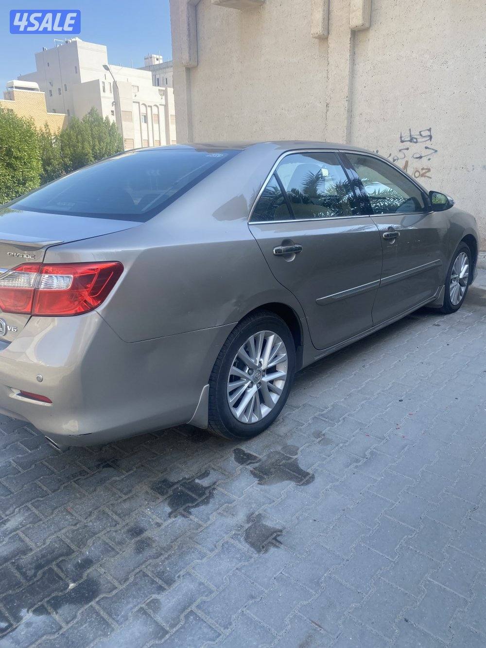 صبغ مدقر و كبوت و الباقي وكاله2