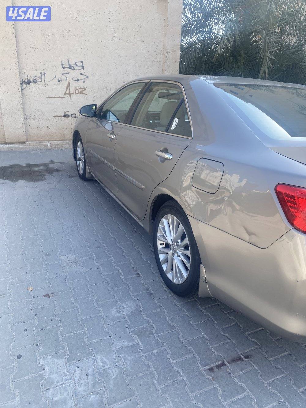 صبغ مدقر و كبوت و الباقي وكاله3