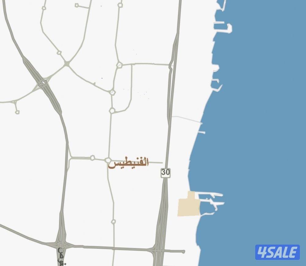 للبيع فيلا سكن المالك بطن وظهر في الفنيطيس شارع رأيسي داخلي مدخل ممتاز0