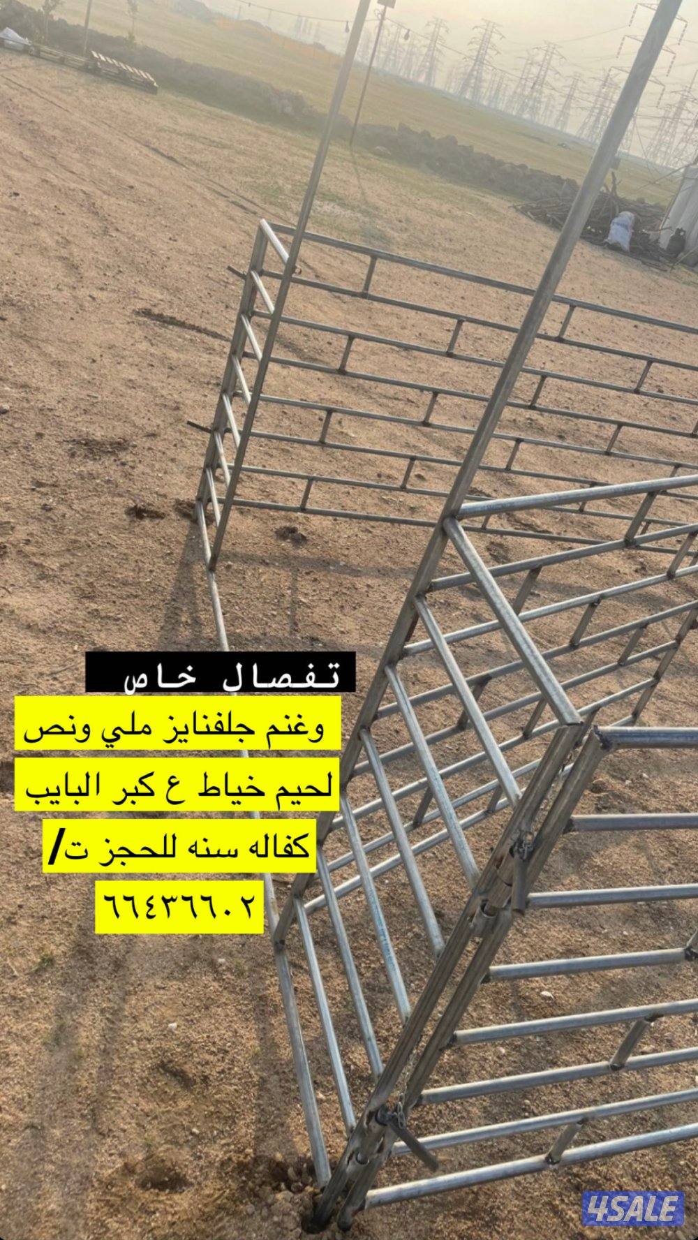 تفصال شبك ابل وغنم وخيل جلفنايز ملي ونص كفاله سنه1