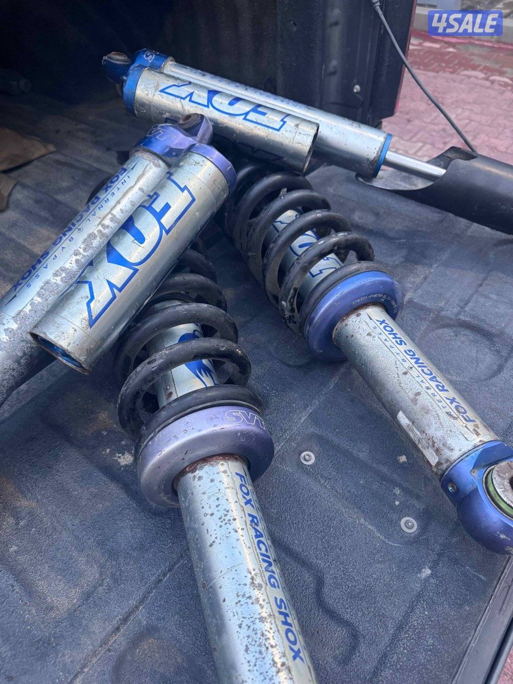 معاونات فوكس1