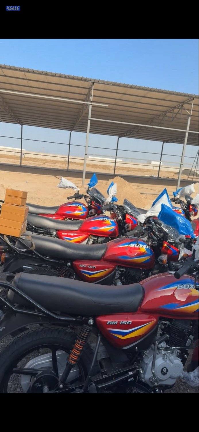 للبيع سيكل بوكسر  Bajaj-Boxer1501