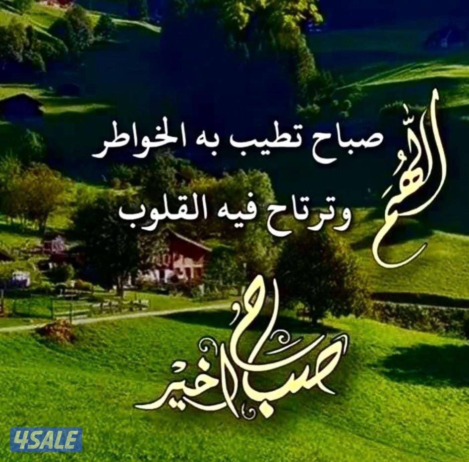 الصباحيه ق3 سد/ام الهيمان /الظهر /الرقه /صباح الاحمد/القربن/العدان0