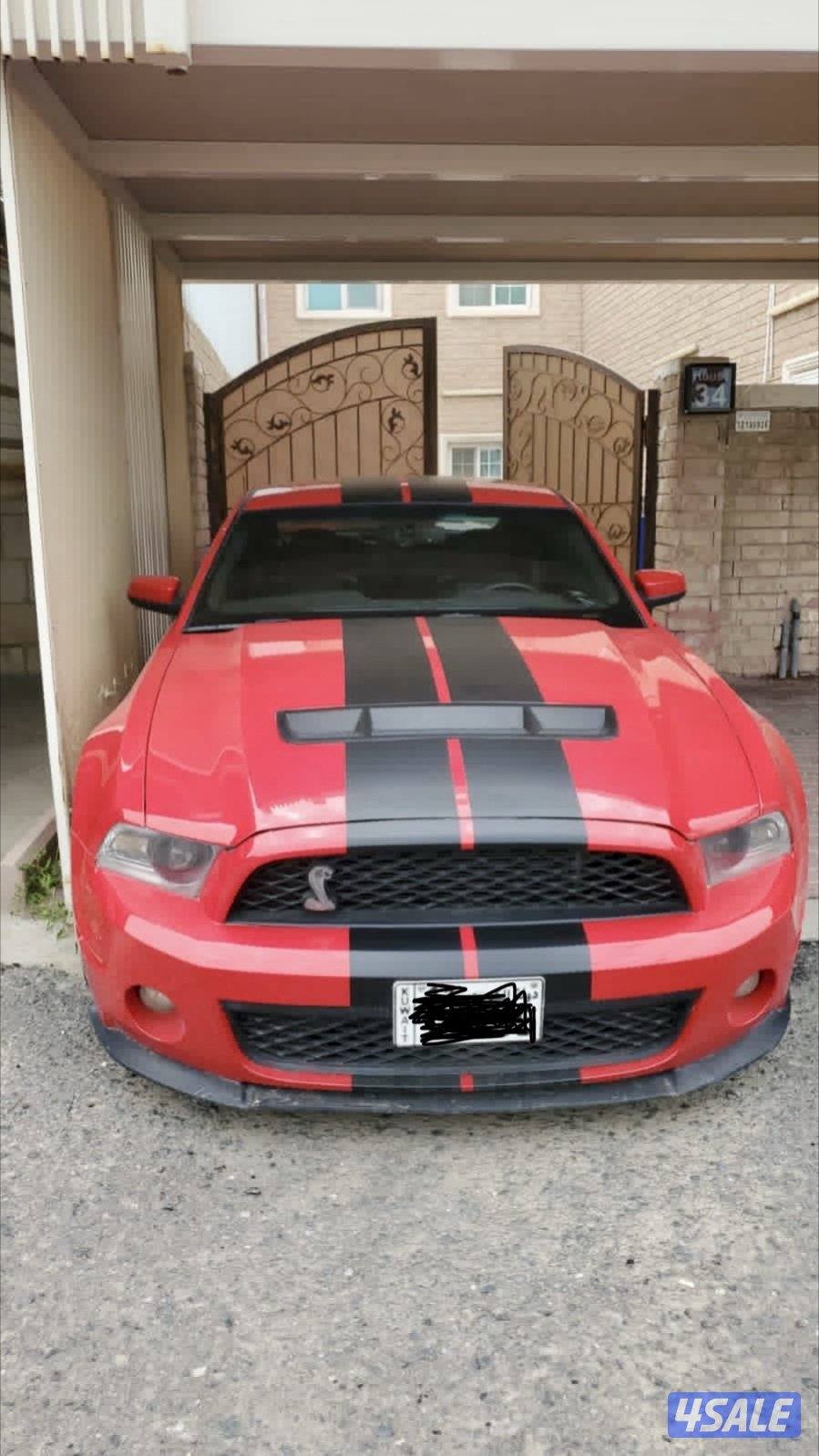 للبيع موستانج شلبي0