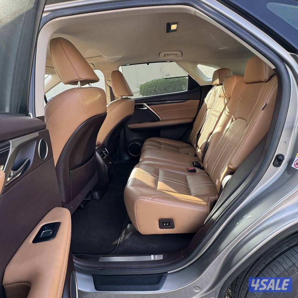 حماية فل بدي - سيرفس وكالة6