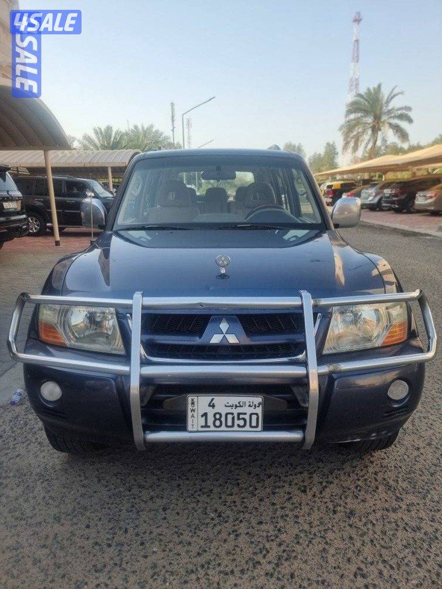 ٢٠٠٦صبغ وكاله استعمال سيده1