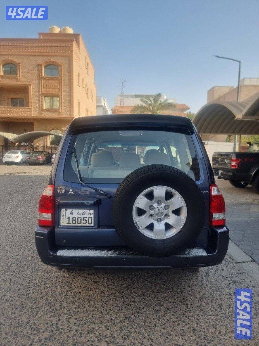 ٢٠٠٦صبغ وكاله استعمال سيده5