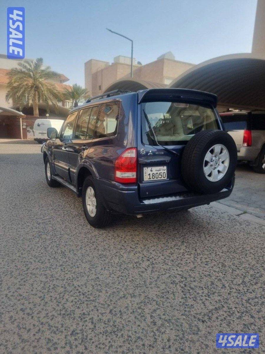 ٢٠٠٦صبغ وكاله استعمال سيده10