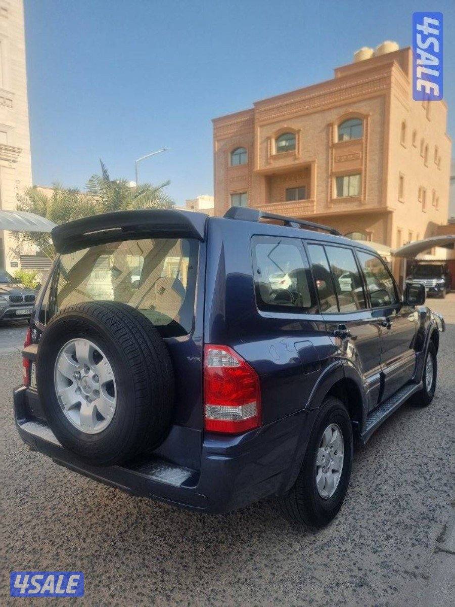 ٢٠٠٦صبغ وكاله استعمال سيده13