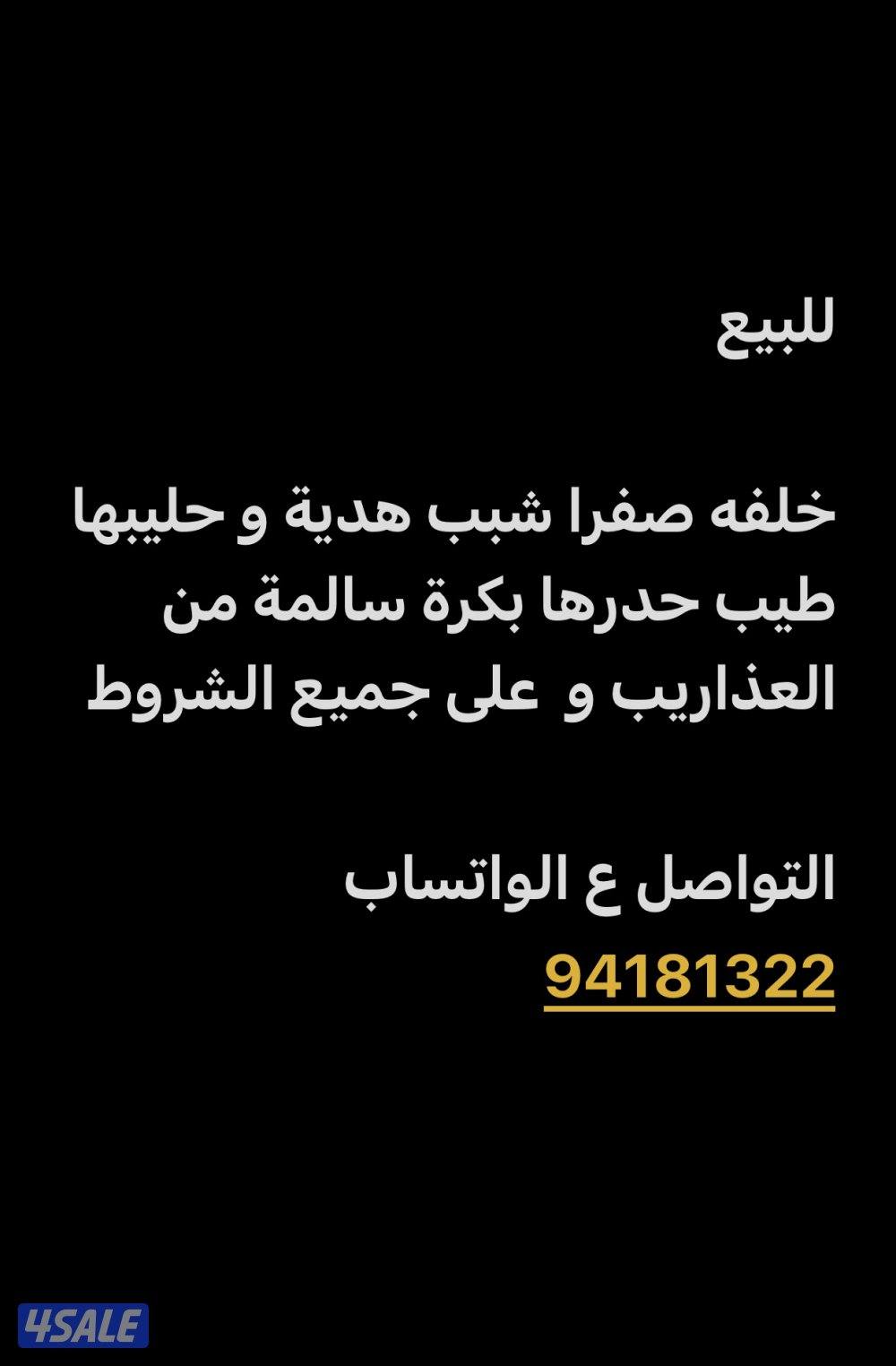 للبيع خلفة صفرا1