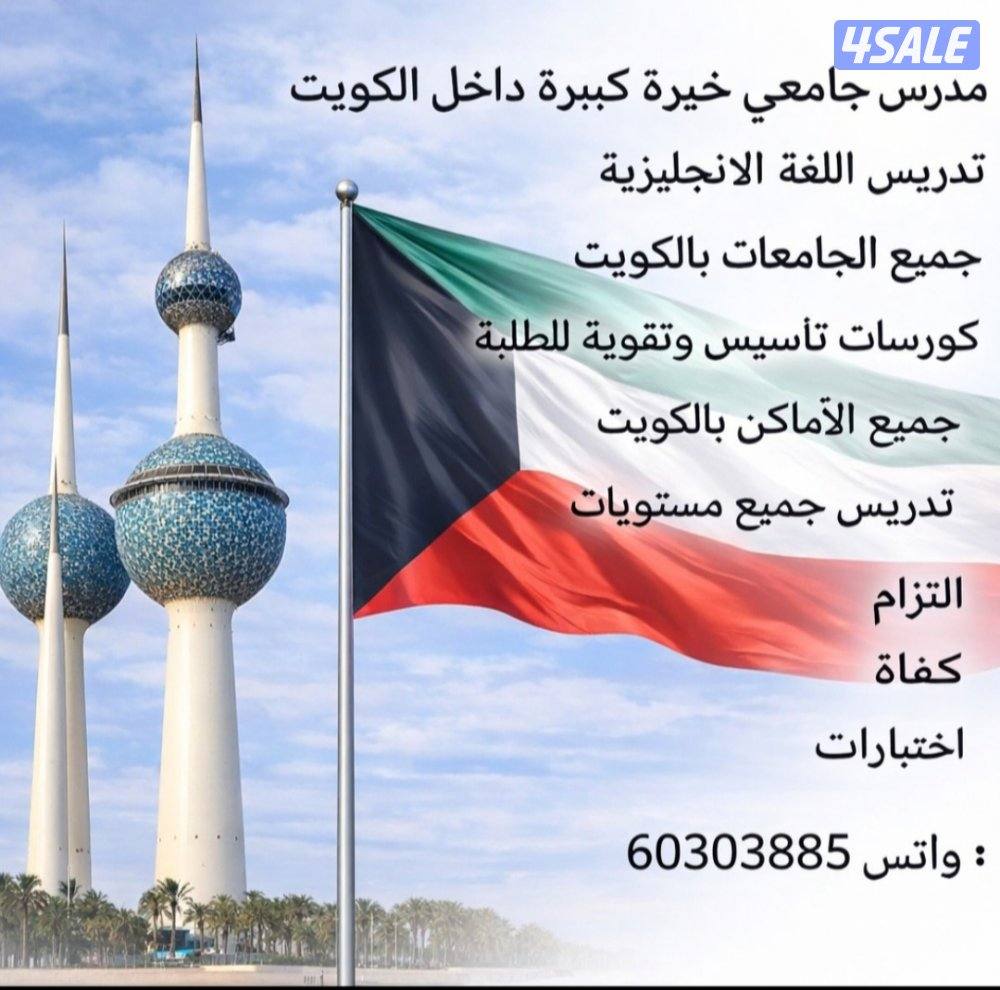 مدرس جامعي لتدريس اللغة الانجليزية لطلبة الجامعات0