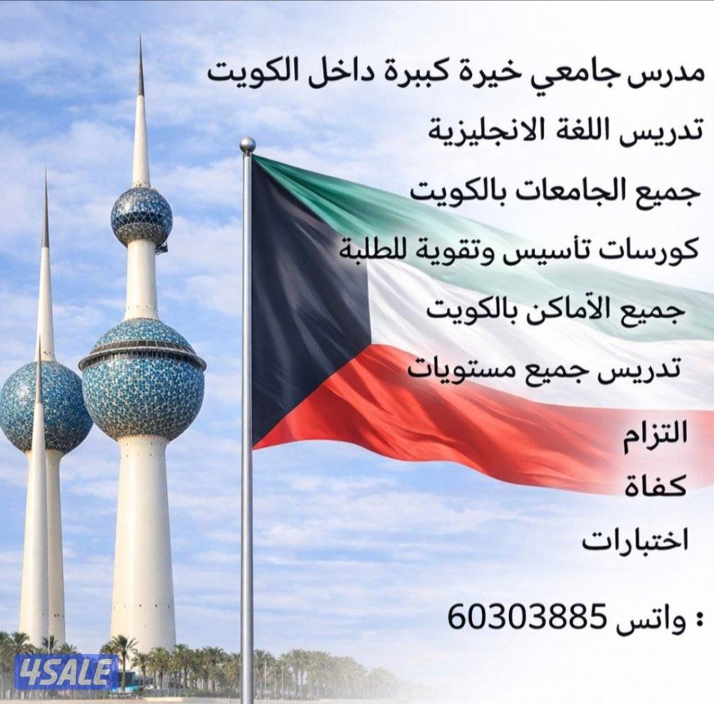 مدرس جامعي لتدريس اللغة الانجليزية لطلبة الجامعات5