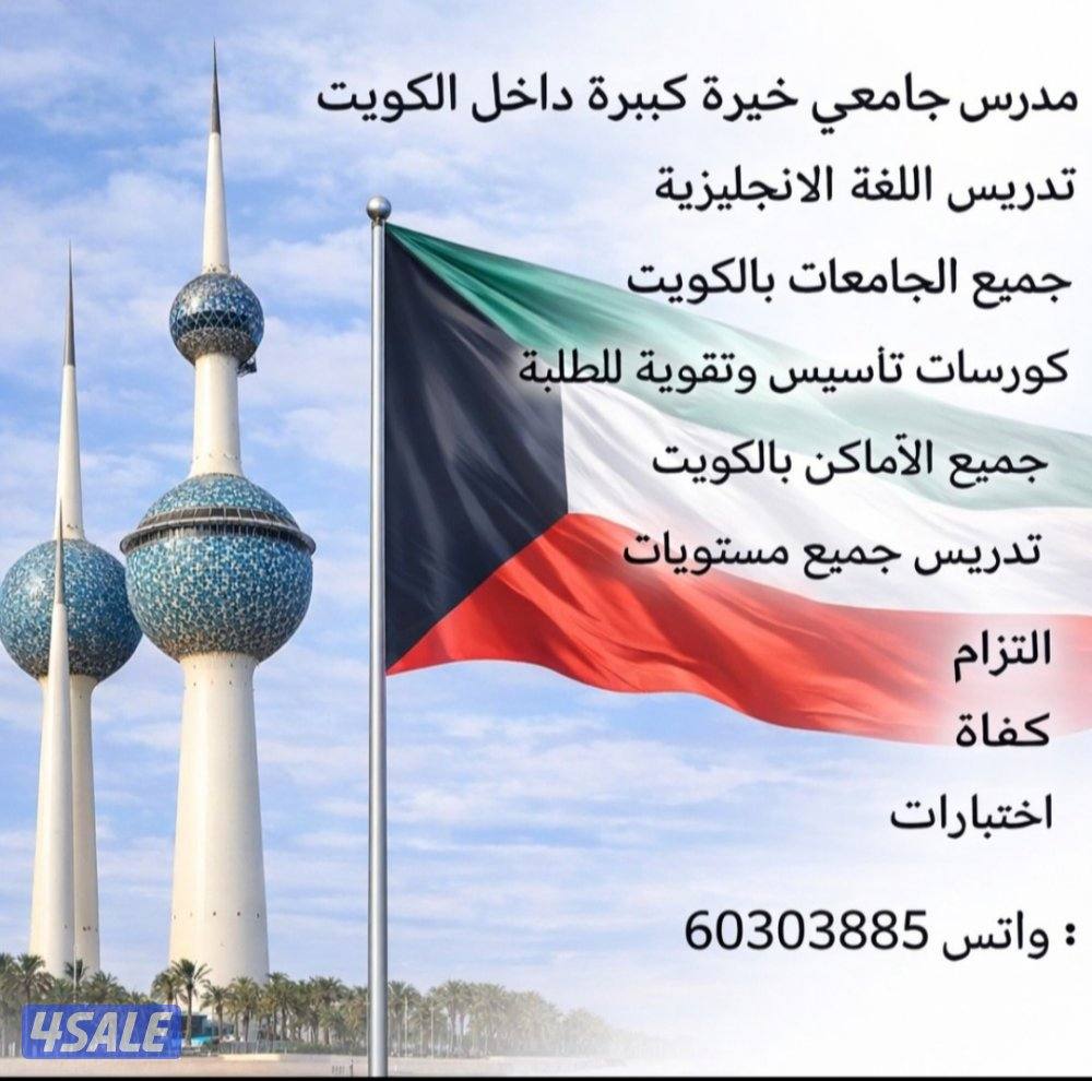 مدرس جامعي لتدريس اللغة الانجليزية لطلبة الجامعات7