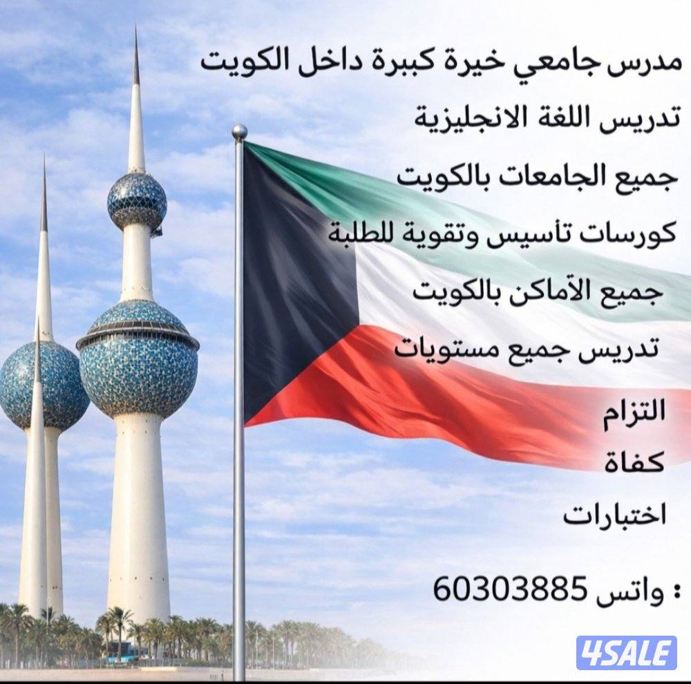 مدرس جامعي لتدريس اللغة الانجليزية لطلبة الجامعات14