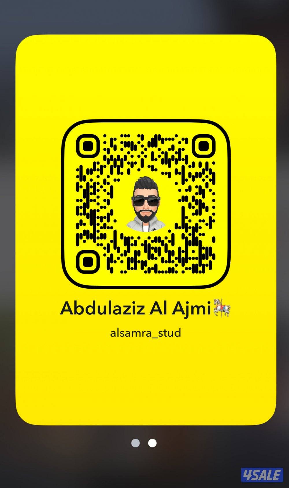 حصان أدهم فاخر ولد كوبرفيلد ينحدر من سلاله فاخرة من إنتاج مربط متخصص ف4