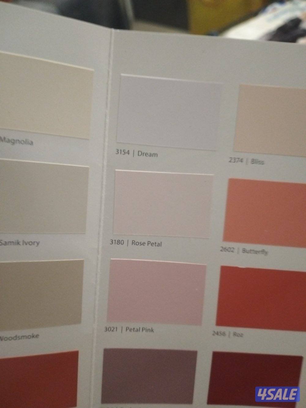 ابو مريم للصباغ4