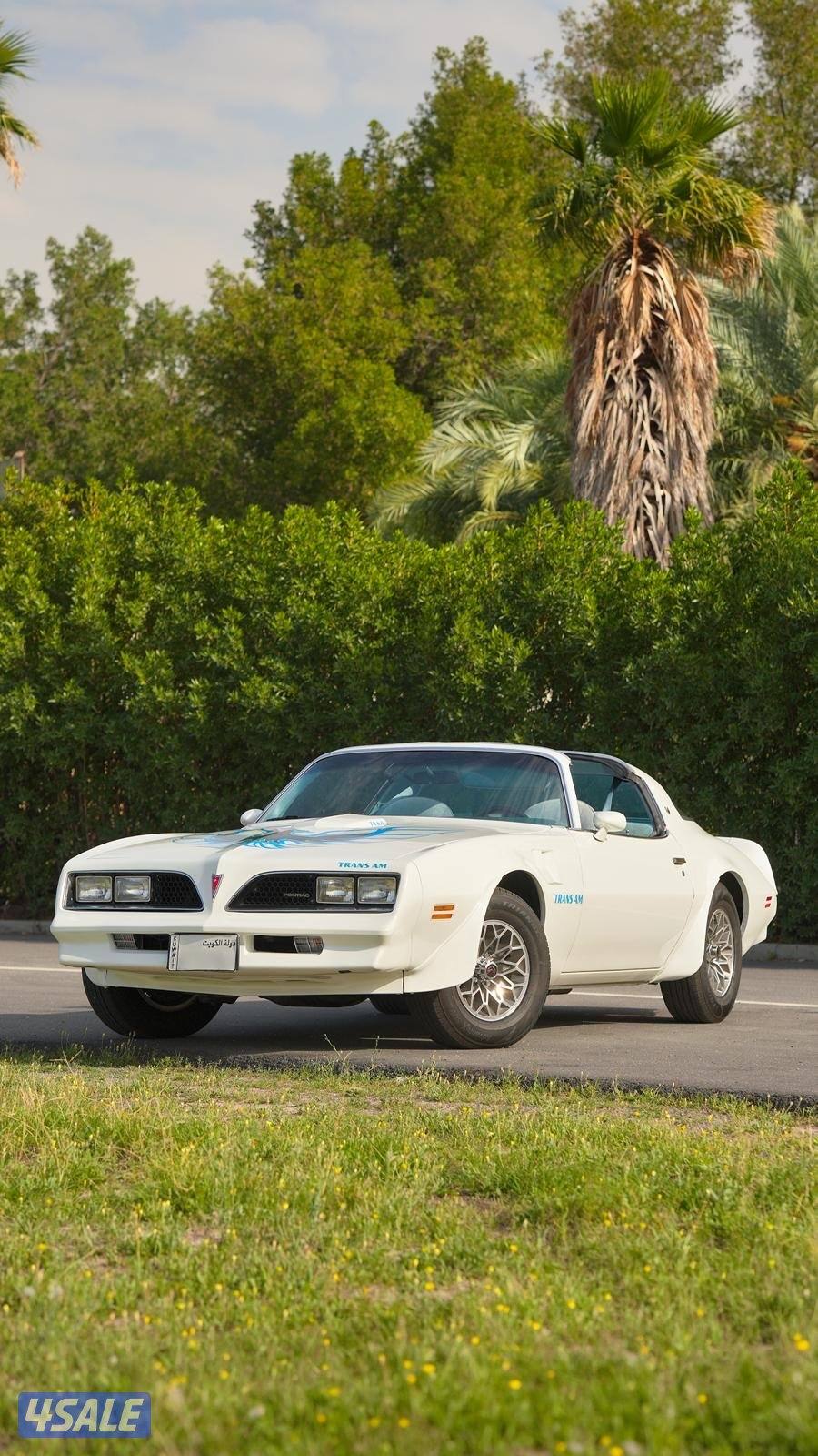 ترانز ام فتحات موديل 19771