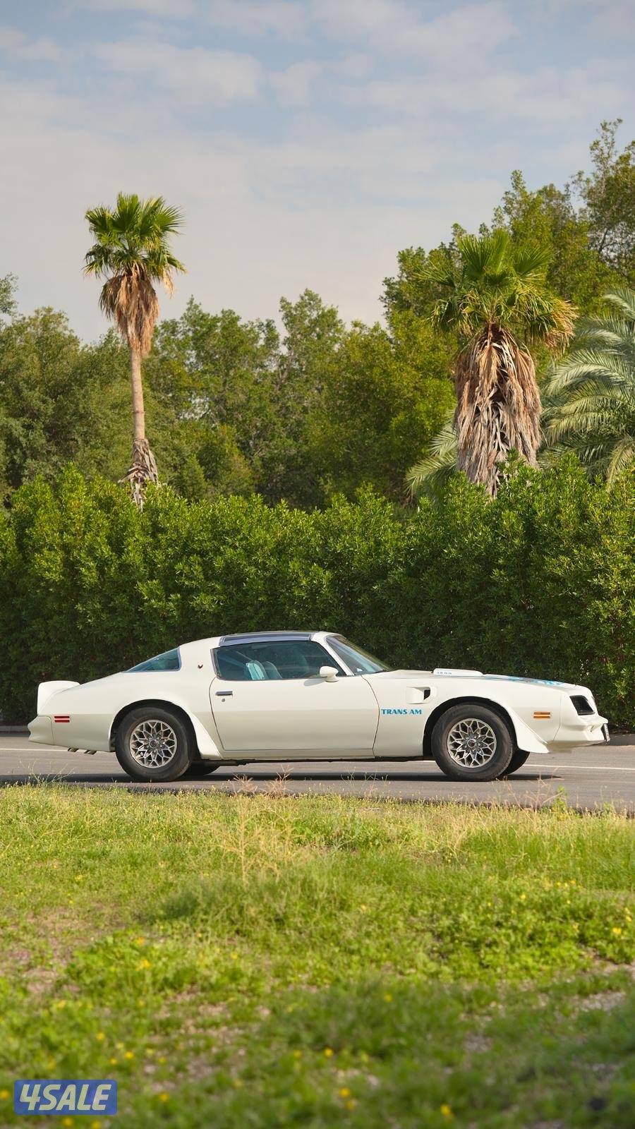 ترانز ام فتحات موديل 19772