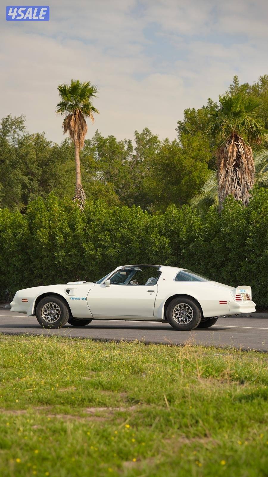 ترانز ام فتحات موديل 19776