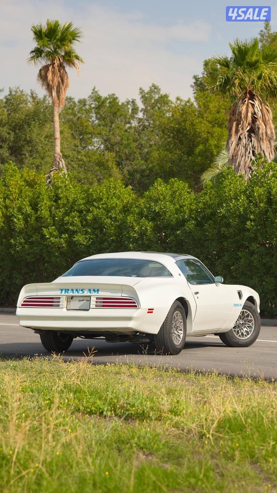 ترانز ام فتحات موديل 19775