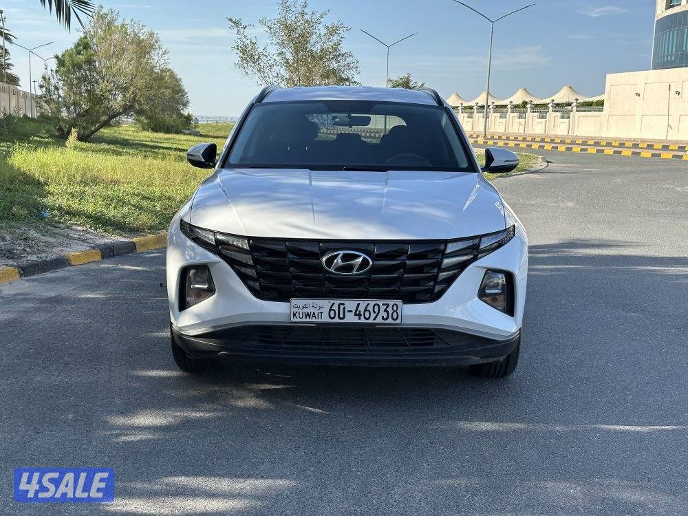 توسان 22  صبغ الوكاله  2.01