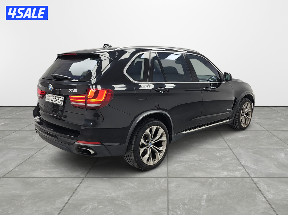 BMW X51